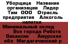 Уборщица › Название организации ­ Лидер Тим, ООО › Отрасль предприятия ­ Алкоголь, напитки › Минимальный оклад ­ 27 300 - Все города Работа » Вакансии   . Амурская обл.,Магдагачинский р-н